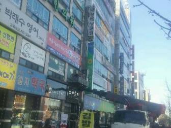 뇌교육